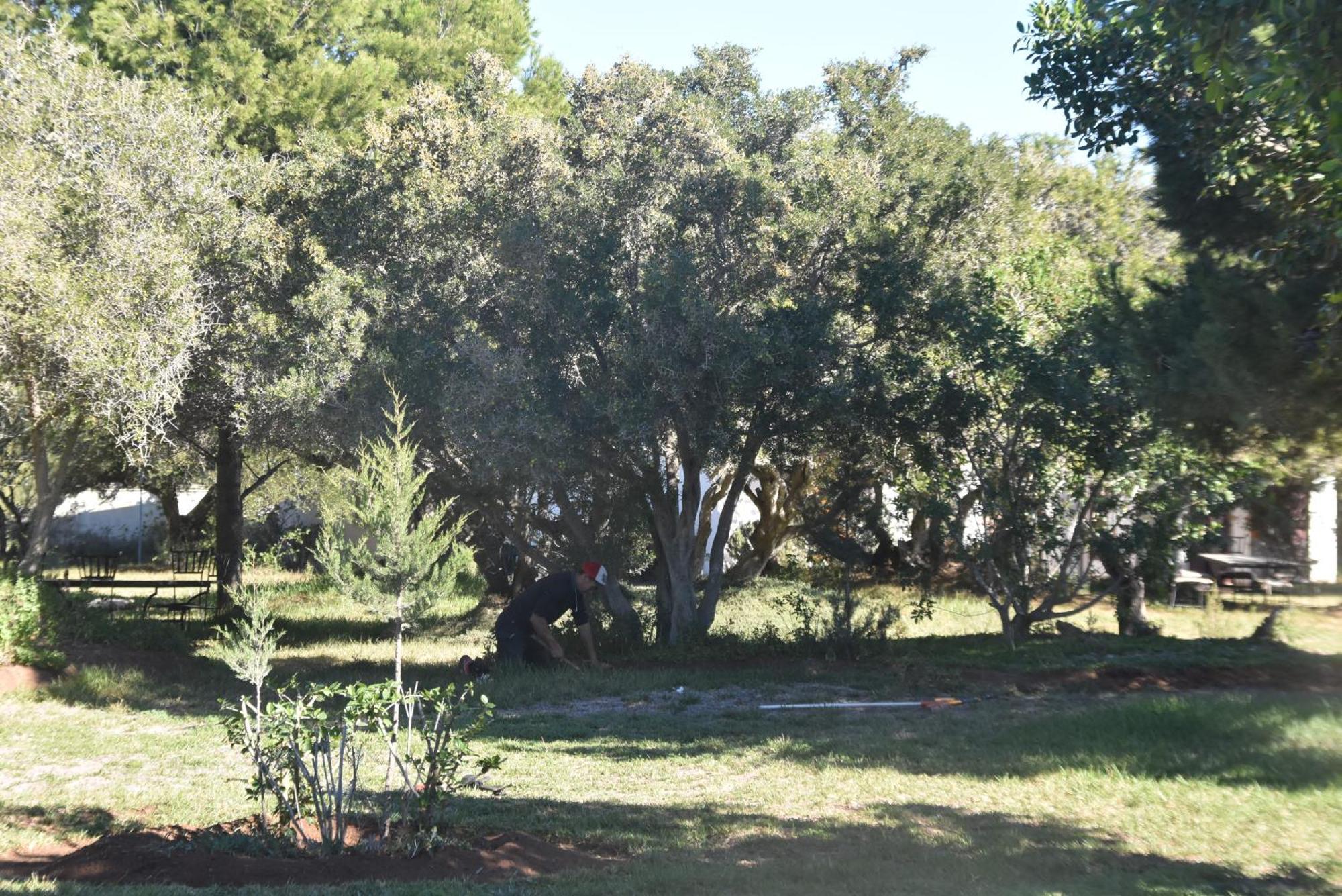 Domaine De L'Arganeraie Hotell Al Ghar Exteriör bild