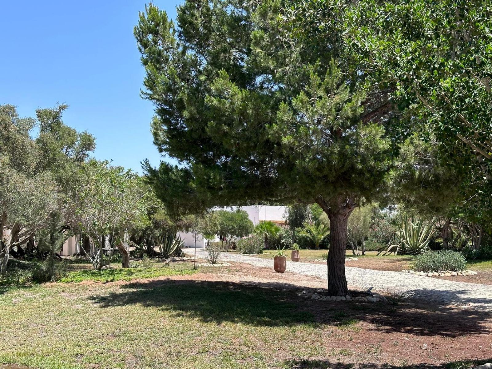 Domaine De L'Arganeraie Hotell Al Ghar Exteriör bild